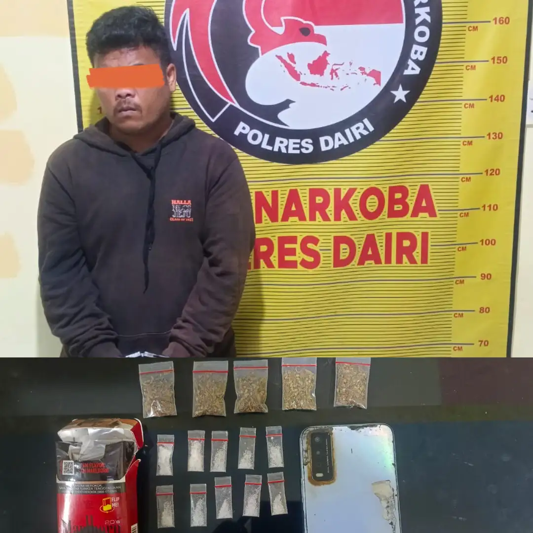 Polres Dairi Kembali Ringkus Terduga Pengedar Sabu dan Ganja Di Tanjung Beringin.