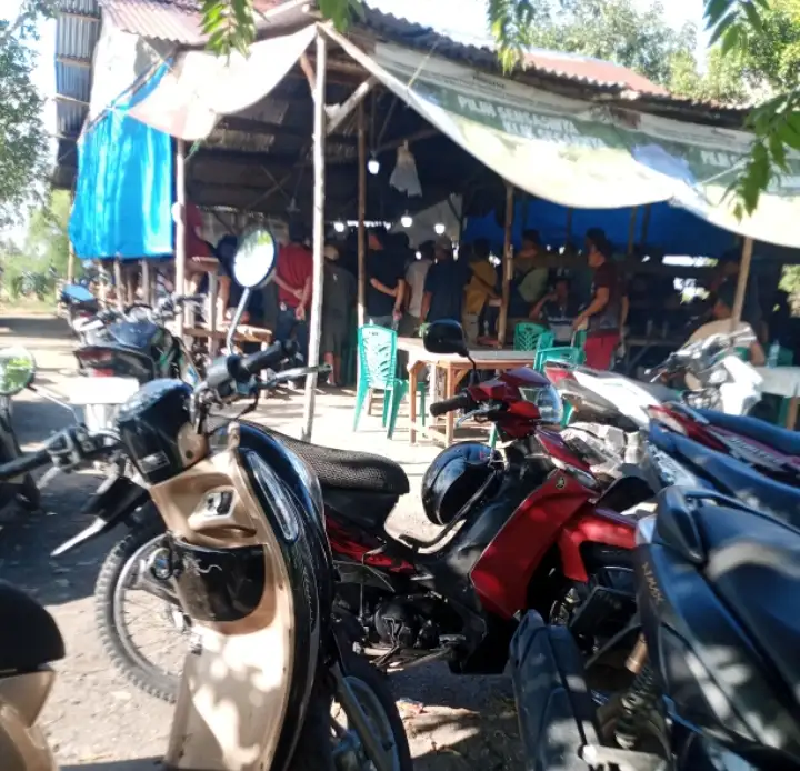 Diduga Tutup Mata, Polsek Bangun Belum Tanggapi Aktivitas Perjudian Sabung Ayam Di Rambung Merah.