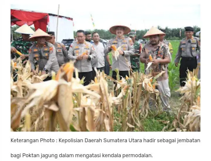 Putus Rantai Tengkulak, Polri Fasilitasi Permodalan KUR Dan Penyerapan Bulog bagi Petani Jagung.