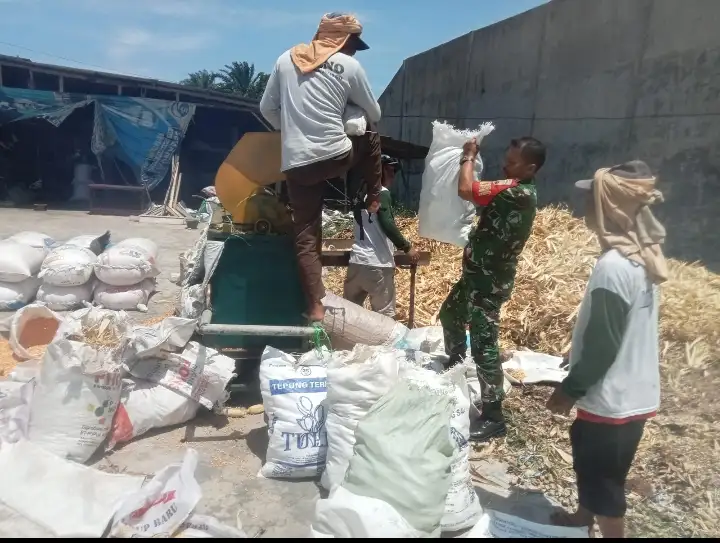 Babinsa Siantar Selatan Bantu Warga Giling Jagung Di Mekar Nauli.