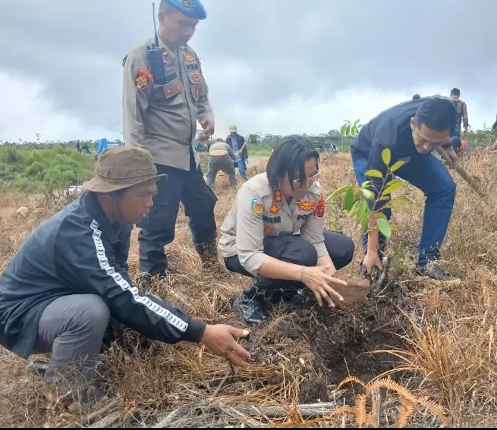 Kapolres Samosir Bersama Yayasan Keutuhan Ciptaan Ordo Kapusin Tanam 620 Pohon Di Perbukitan Partukko Naginjang.