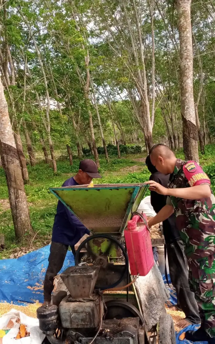 Babinsa Koramil 06/Perdagangan Aktif Jalin Komunikasi Sosial, Bahas Harga Jagung Bersama Warga.