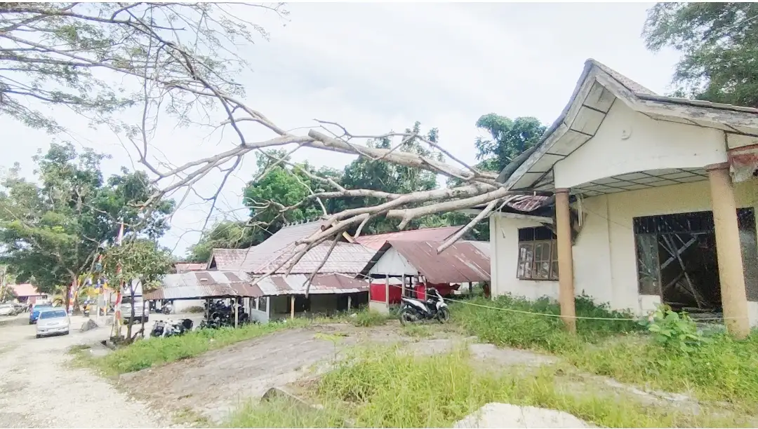 Potret  Aset Pemkab Nias Selatan, Sejumlah Gedung Perkatoran  Rusak dan Terbengkalai 