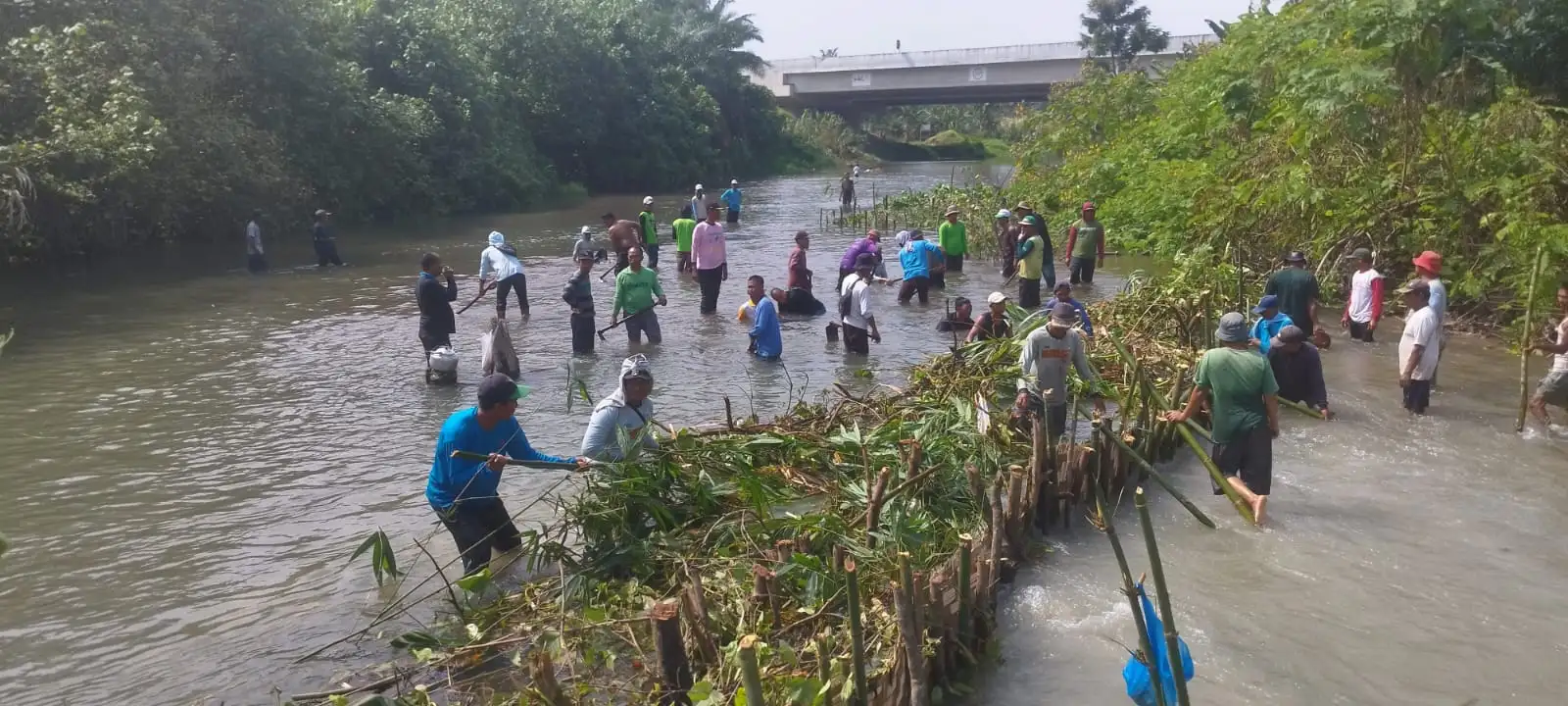 Bupati Gerakkan Dinas Pertanian dan Perkebunan Kabupaten Batubara dan Petani Hempang Aliran Sungai Ramunia, Atasi Kekeringan Persawahan Masyarakat